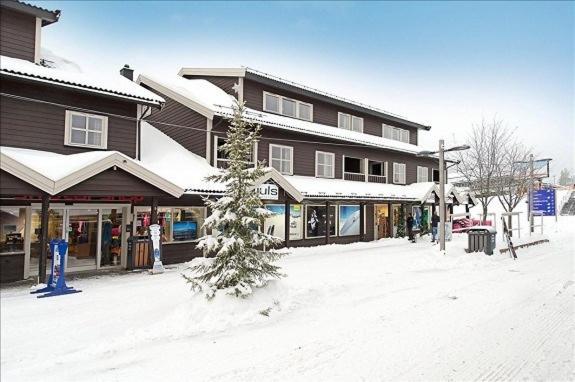 Skitorget Apartments 트리실 외부 사진
